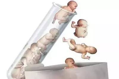 正规供卵代生子
